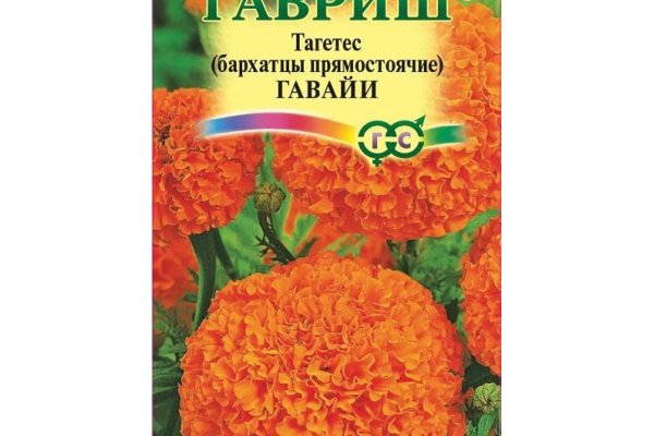 Ссылка кракен не работает