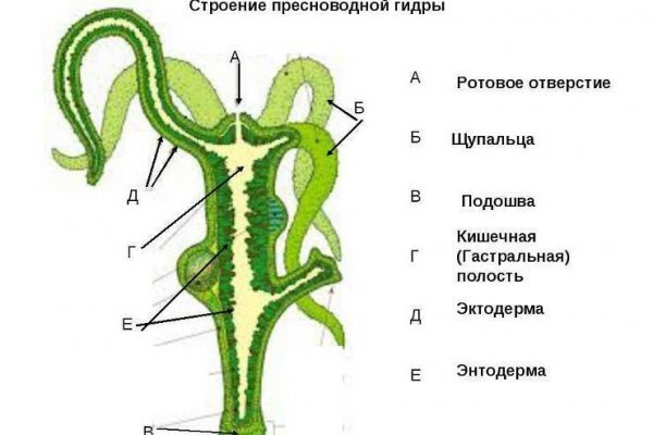 Кракен интернет площадка