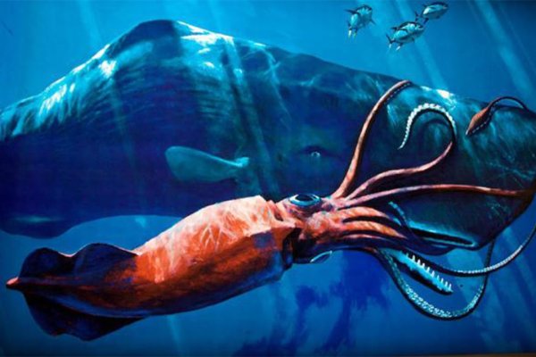 Kraken зеркало стор