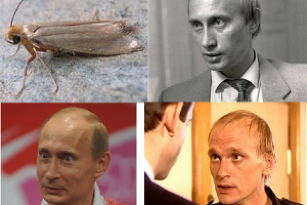 Как зайти на кракен супернет