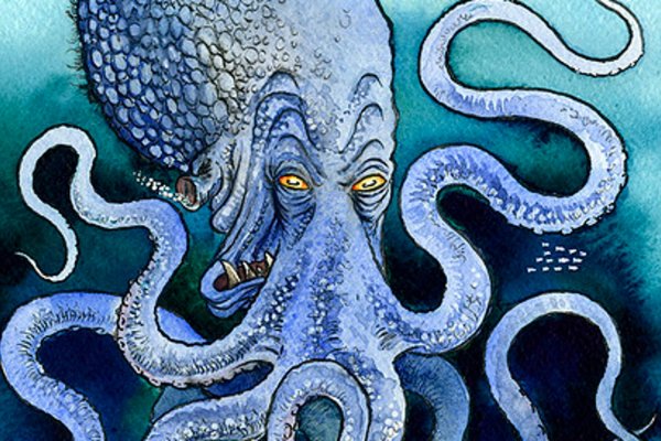 Kraken whitenet market зеркало