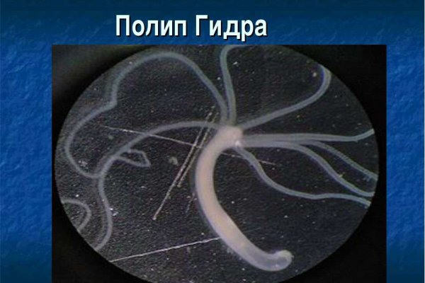 Главная страница кракен