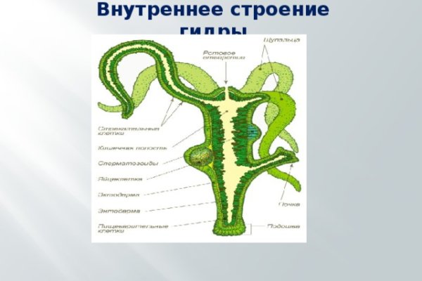 Kra34 cc