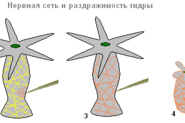 Kraken 17 at