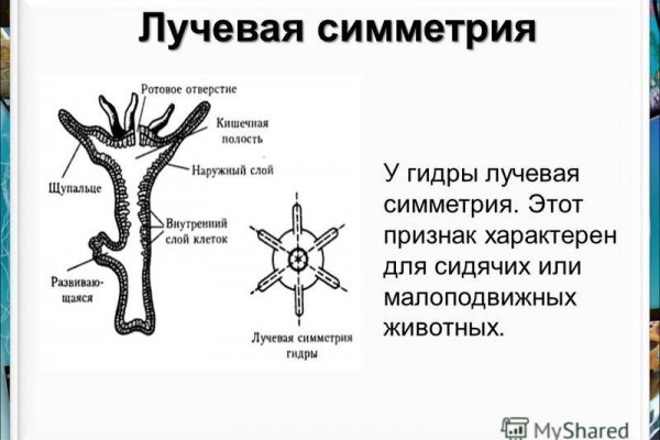 Ссылка для входа на сайт kraken