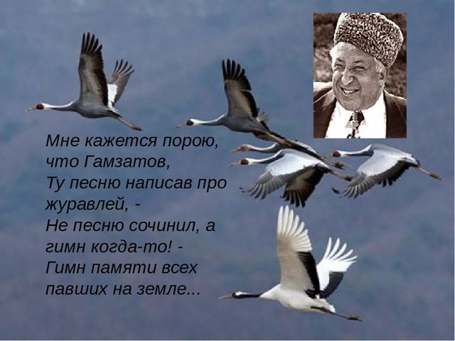 Ссылка кракен не работает